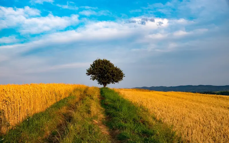 老公长期熬夜想离婚了怎么挽回？专家教你实用方法！