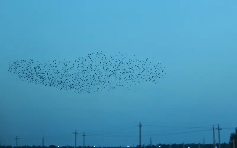 满足不了性欲高的老公被怀疑出轨，目前分居不知道该不该离婚……