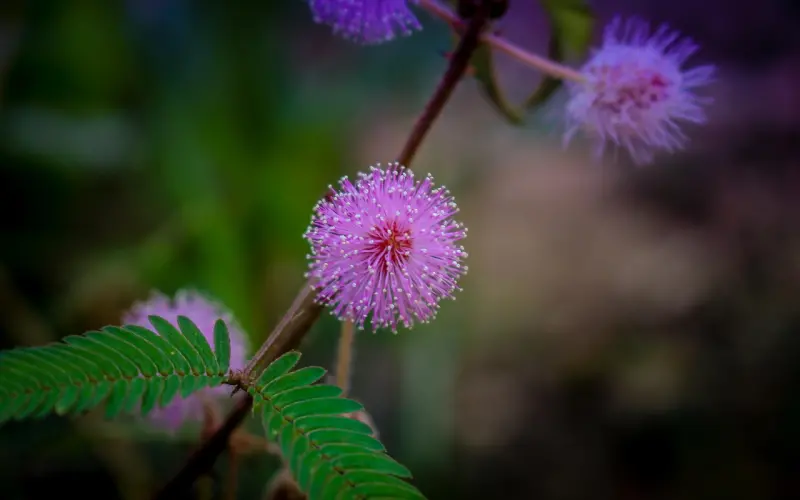 我月薪两万，撑起这个家的却是我老婆