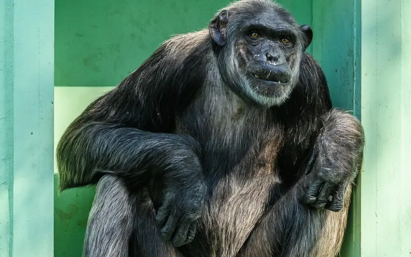 父母反对而分手，我该如何挽救爱情？