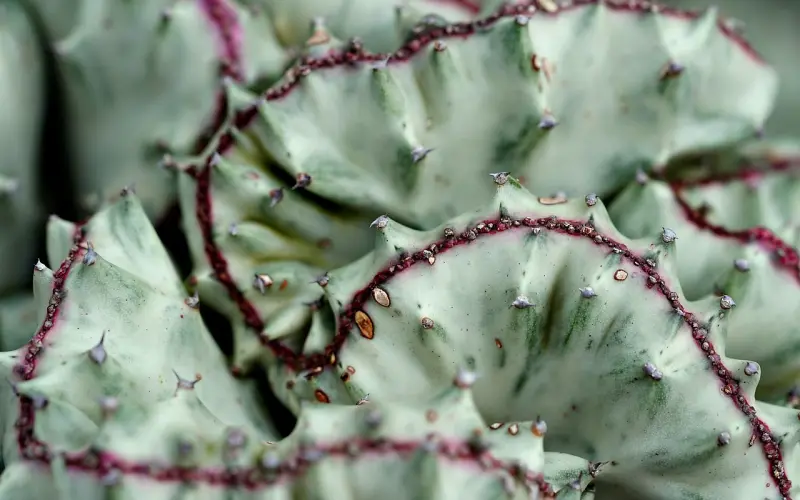 和女友的关系越来越淡，该怎么办