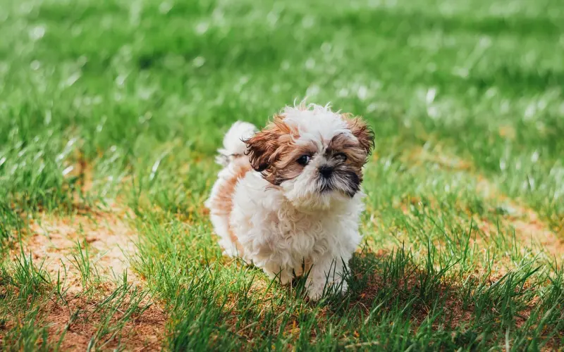 恋爱对象变炮友，我该怎么办？