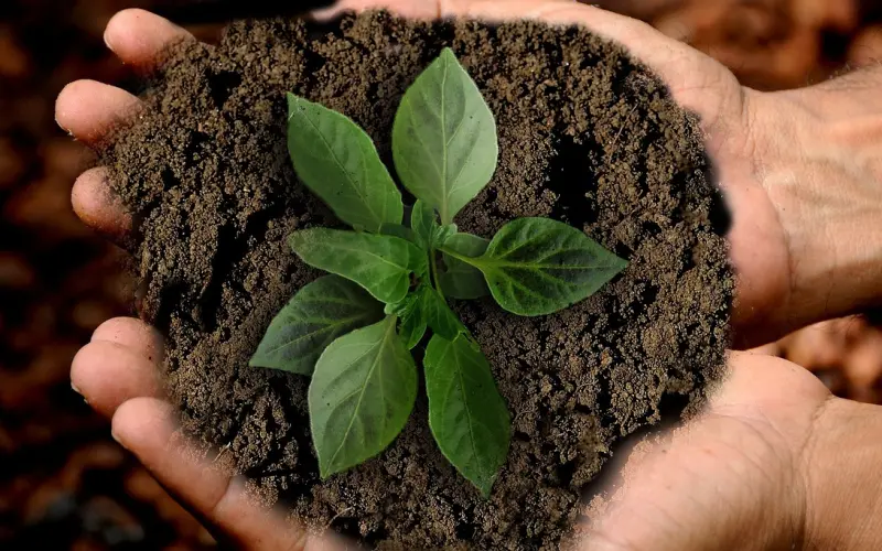 性生活不和谐，我还要继续维持吗？