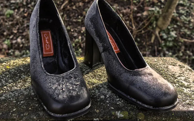 老婆提出了离婚，该怎么挽回