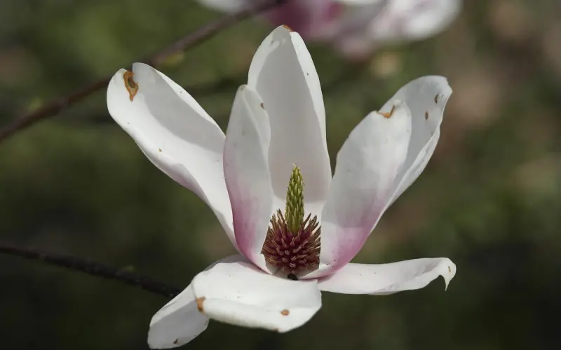 近九成离婚因性不和谐？性爱上的门当户对，是种什么体验？