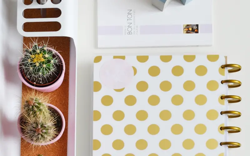 网易云热评整理：你长大了，要做好每个人都会离开的准备。