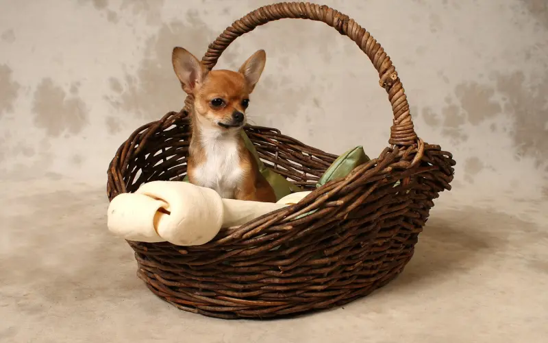 网易云热评——你很有骨气 你很有想法 而且你不甘平庸 可是你懒