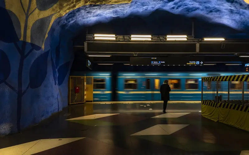 网易云热评：你应该大胆一点，反正只活一次