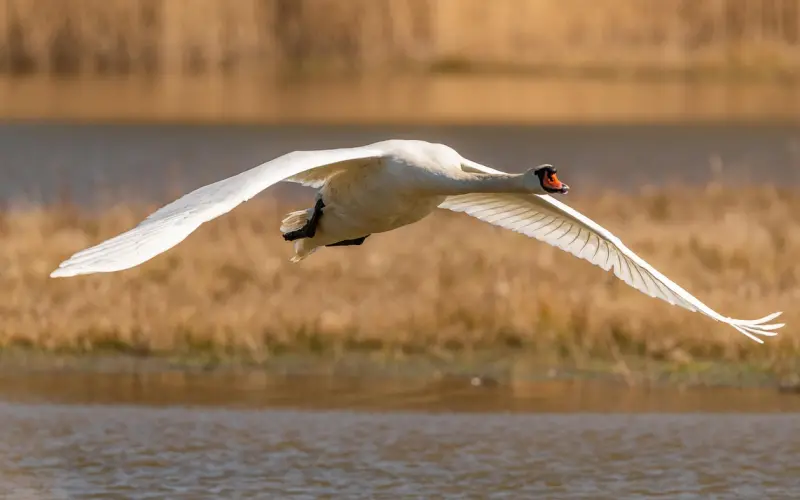 挽回中千万不要做这三种性格的女人，据说挽回率特别低！