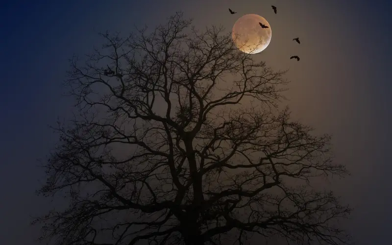 千万不要挑战男人这一条底线！