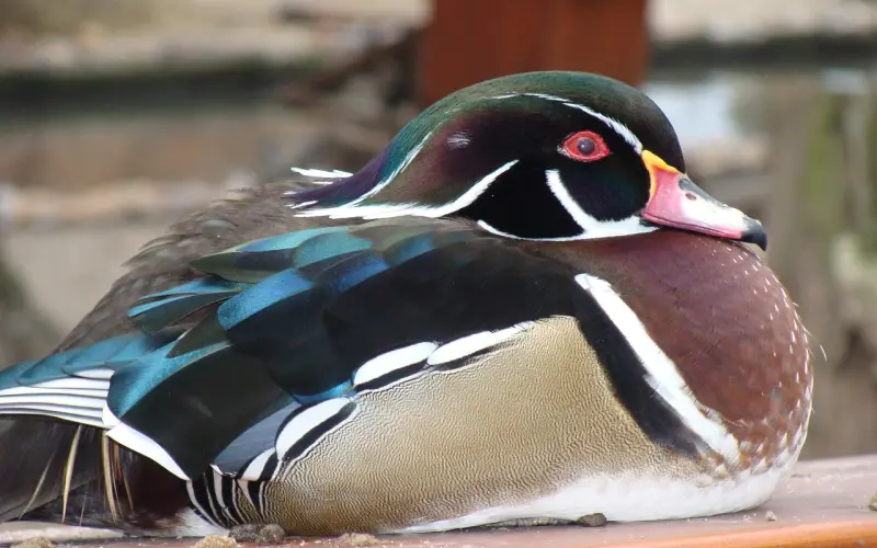 挽回婚姻新套路：用非常规方法挽回老公