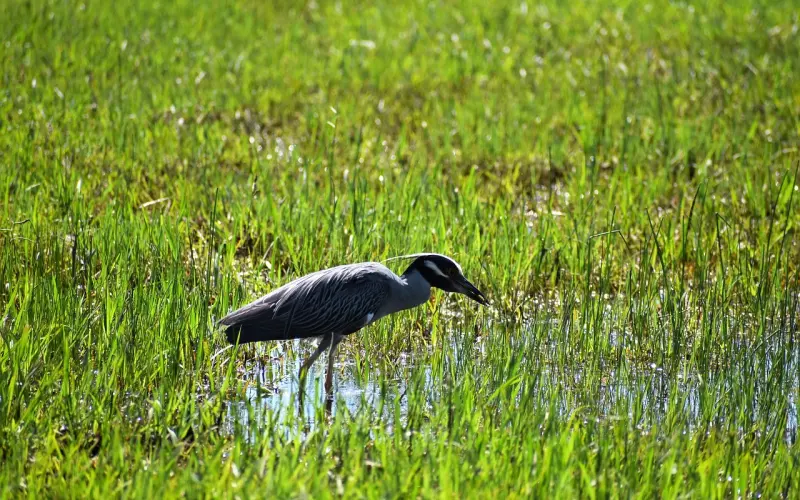 元旦！2021年第一天！赶紧打开诸佛菩萨送你的一封福报信！！为新的一年开个好头！