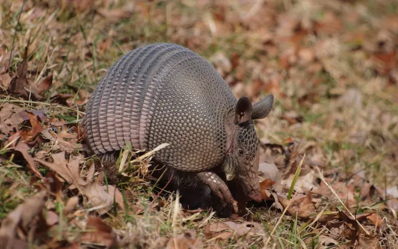 女人拒绝你的九种行为，男人不要再傻了
