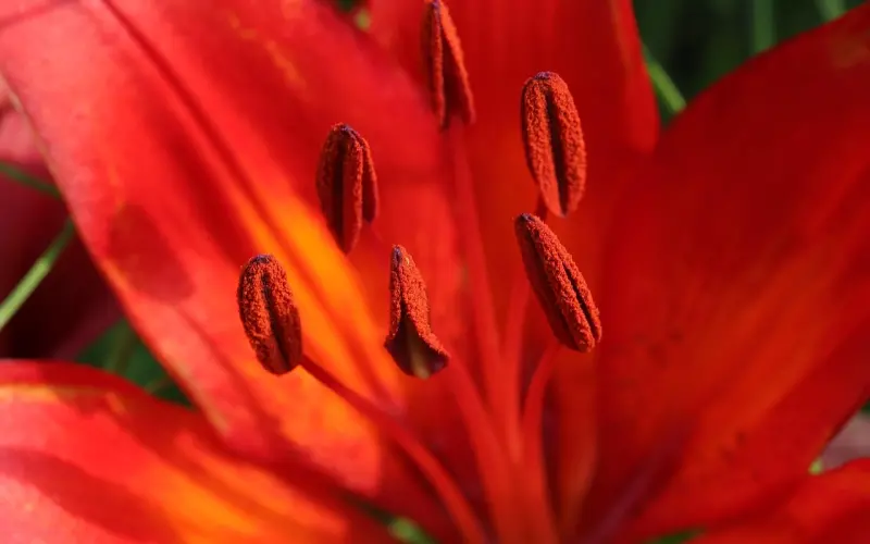 宁夏情感咨询：我能跟一个撒谎成性的男人结婚吗？