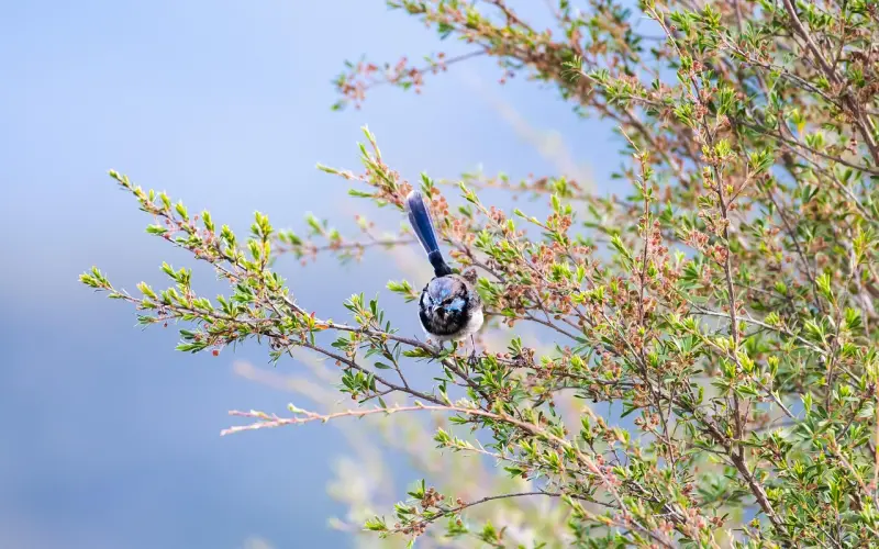 再深爱一个男人，也要拒绝这些事，否则就廉价了