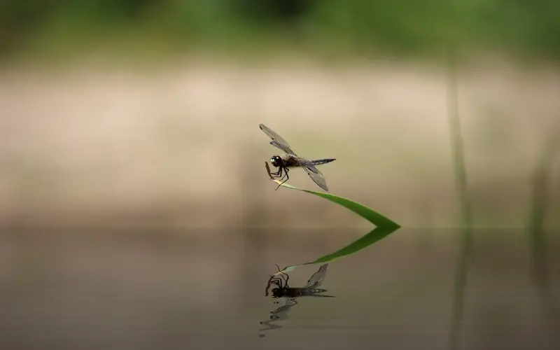 老公再好，也不能原谅女人的四种错误，希望你仔细看看
