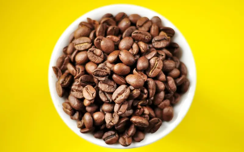 感情再浓，不懂珍惜，也是徒劳