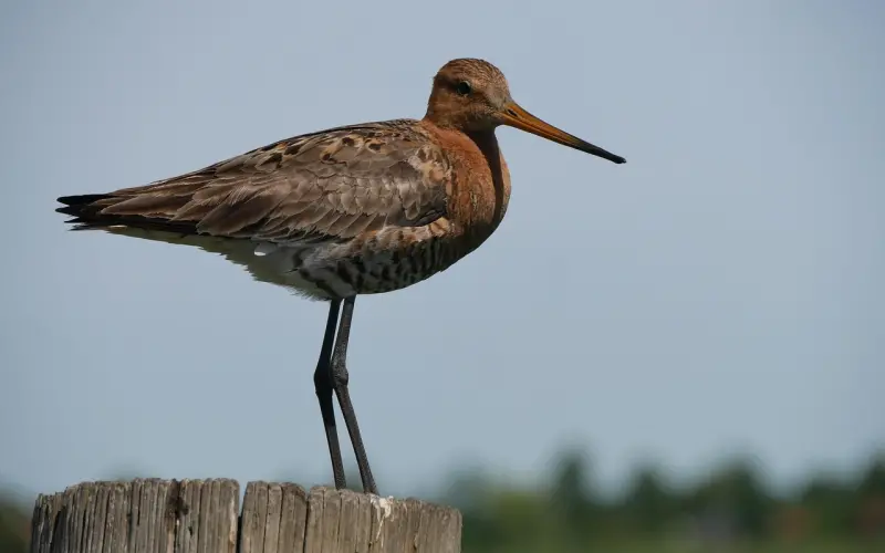 无论跟谁谈恋爱，一定要避开这个坑