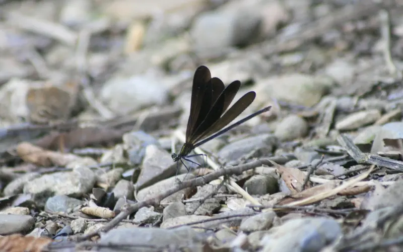 不用跪舔，这样聊天会让女神深深迷恋你