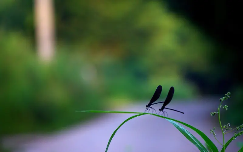 约会时不用如坐针毡