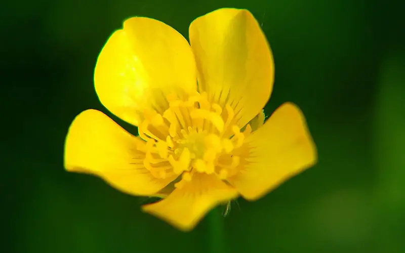 并不是所有婆媳关系，都值得用心经营