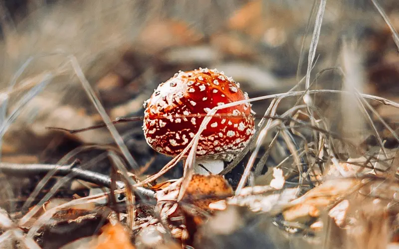 注意：这些情况的分手，挽回必须得及时
