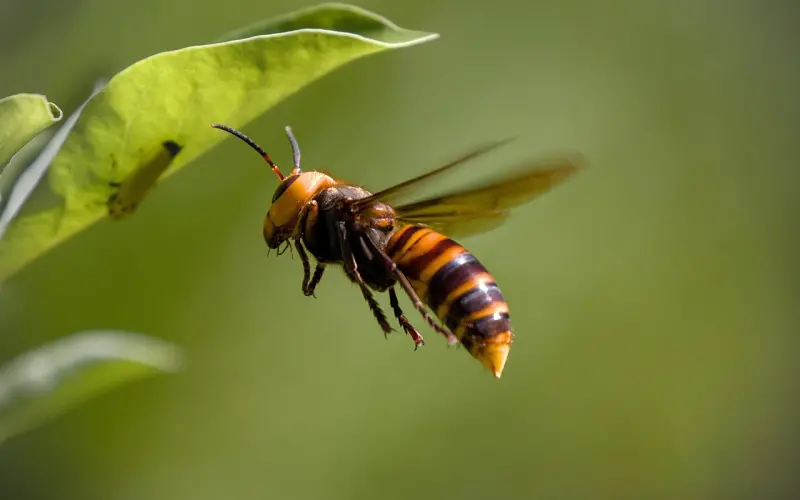 天呐，双12大放送，走过路过千万别错过，洪荒之力大解密！