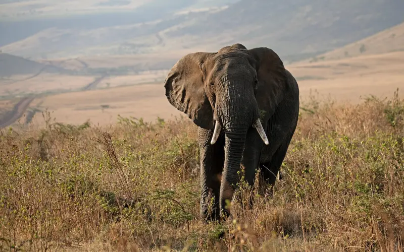 论捉奸在床后，怎么保全爱情