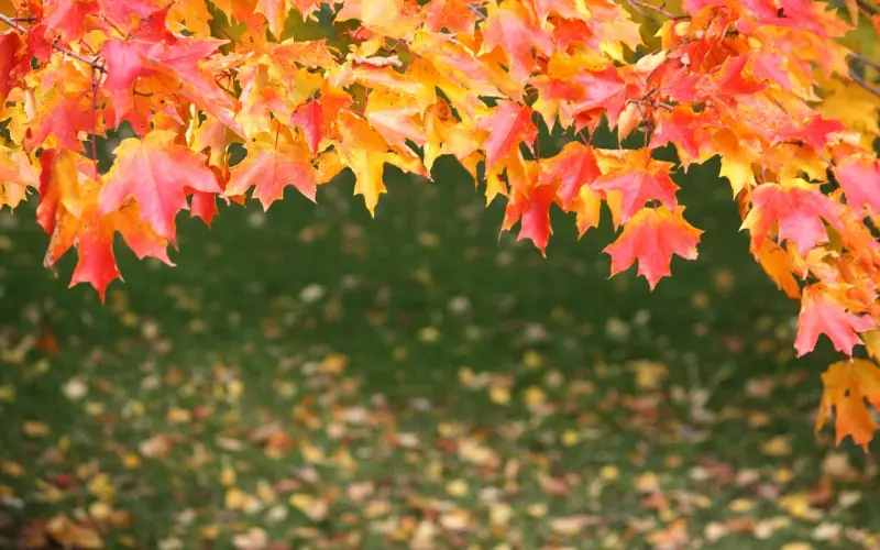 10月9日，见者接财神！恭喜发财！大吉大利！万事如意！