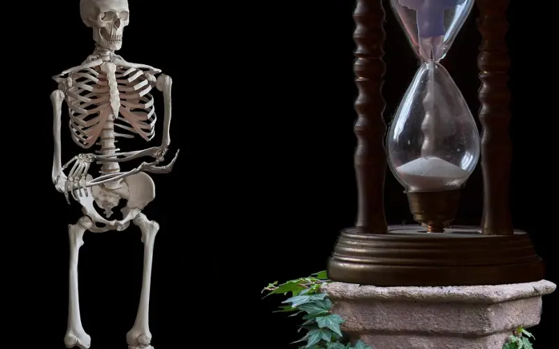 备胎十周年，谨以此文祭奠我逝去的初恋