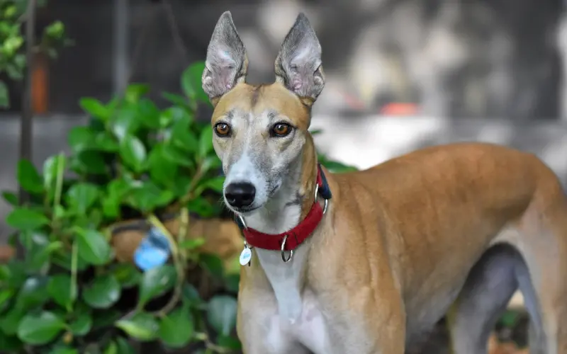 分手第45天，他发微信说想我了！