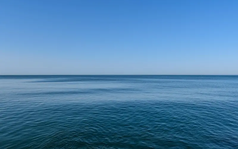 情人节，到底该不该联系前任？该怎么联系？