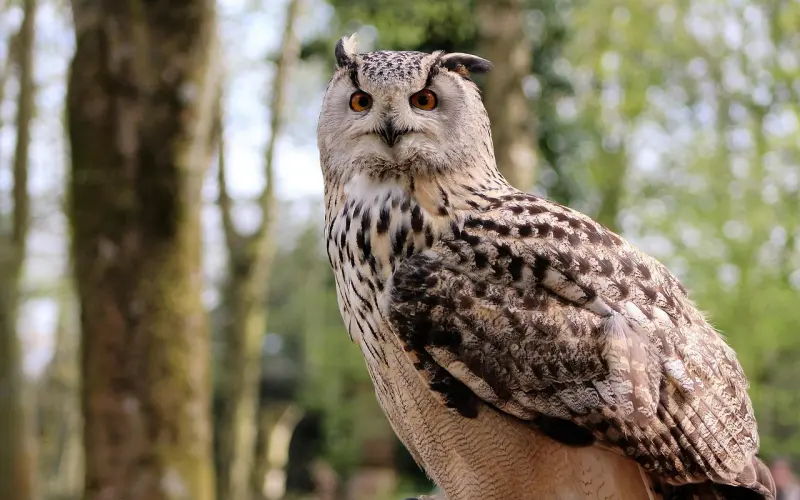 男生一旦走了这一步，在女生心中就永不翻身！