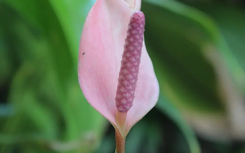 女人一旦想和你办公，这几种暗示很明确，尤其第三种！