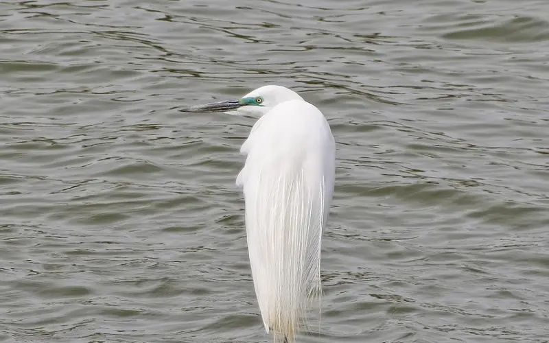 一招教你如何挽救七年之痒婚姻，让夫妻关系重回幸福状态！ ...