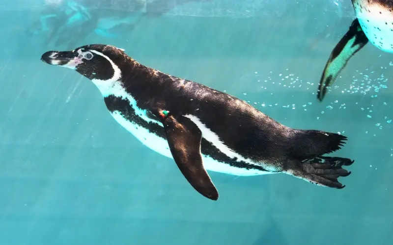 不会聊天的男人，才真的爱你