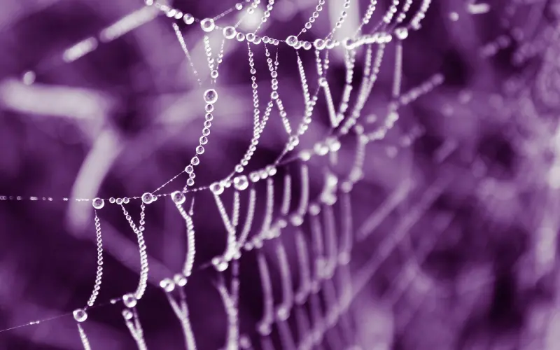 看完才知道，高分妹原来都在做……