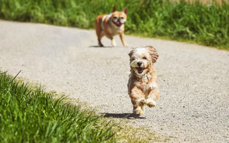 这样的男人才会养你一辈子