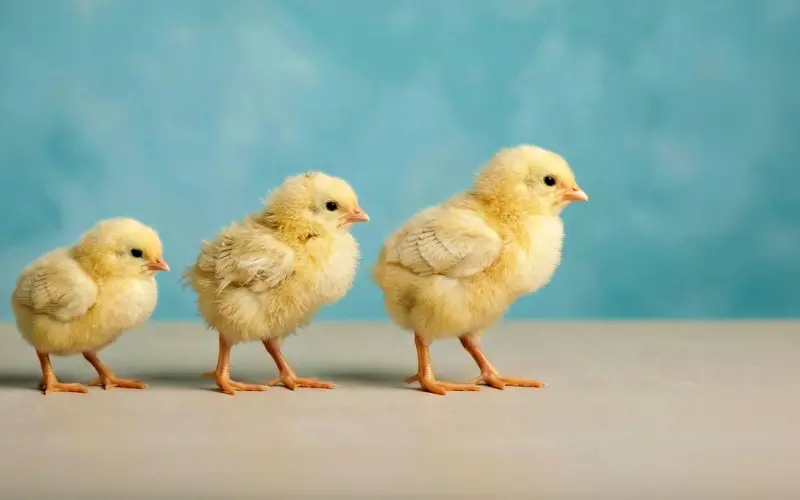 女人把“真心”给你，才会为你做到这三件事，别不懂！