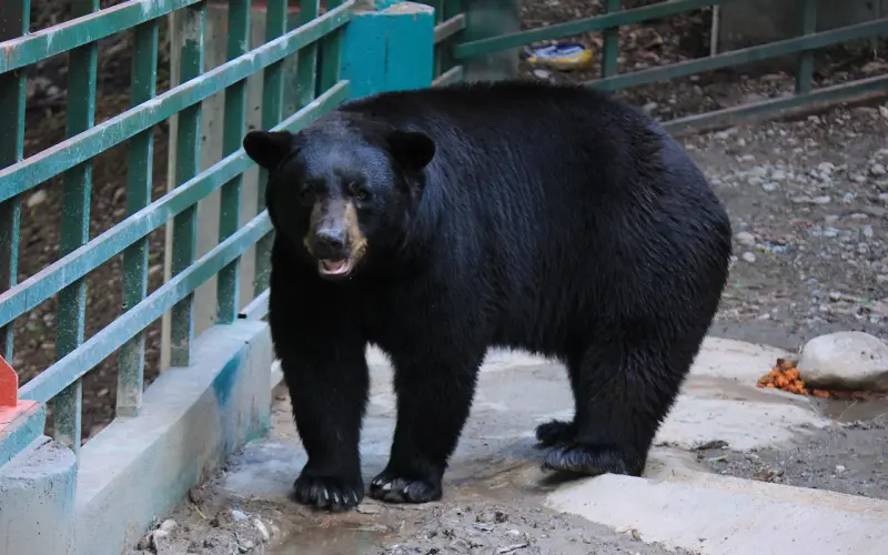 吻过女生这4个地方，才能叫真爱！看看他吻过几个？