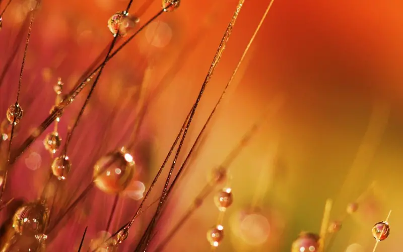 这样的你，才有资格配上更好的人