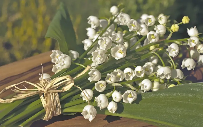 职场公开课：如何找到你简历中的“爆款基因”？