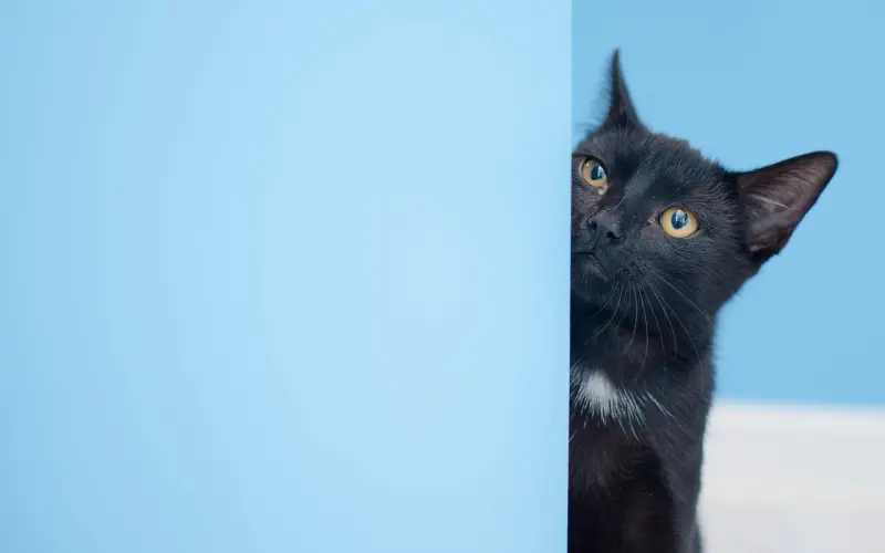 普通朋友是挽回中的最佳身份