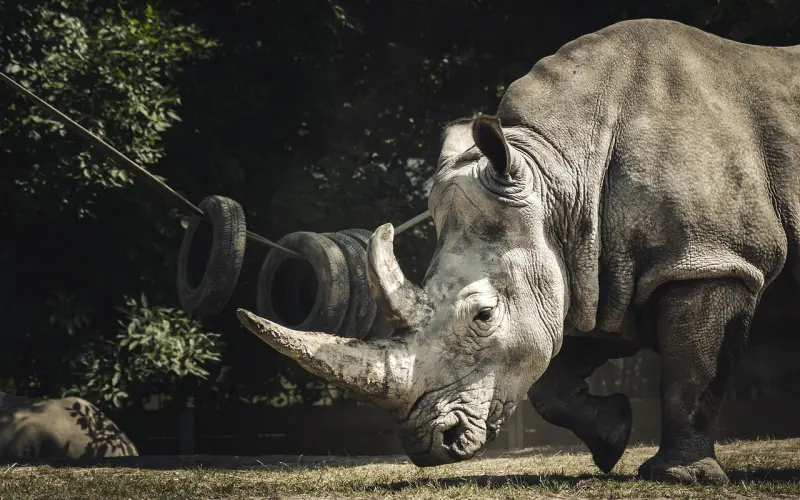 能在这几点上结合的伴侣，最后都密不可分