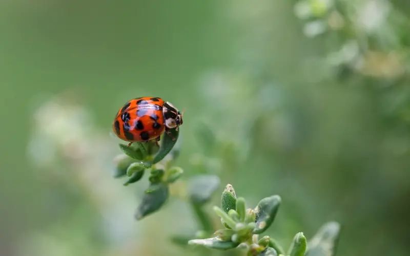 注重恋爱中的细节，别让女朋友突然跟你说分手