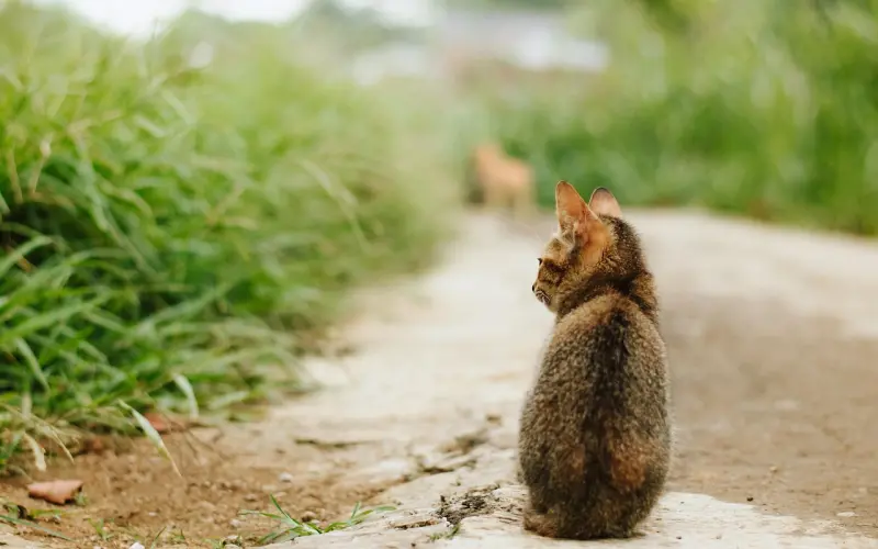 恋爱谈得好的人，都在这点上拥有优势