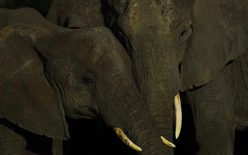 男生伤感分手个性签名