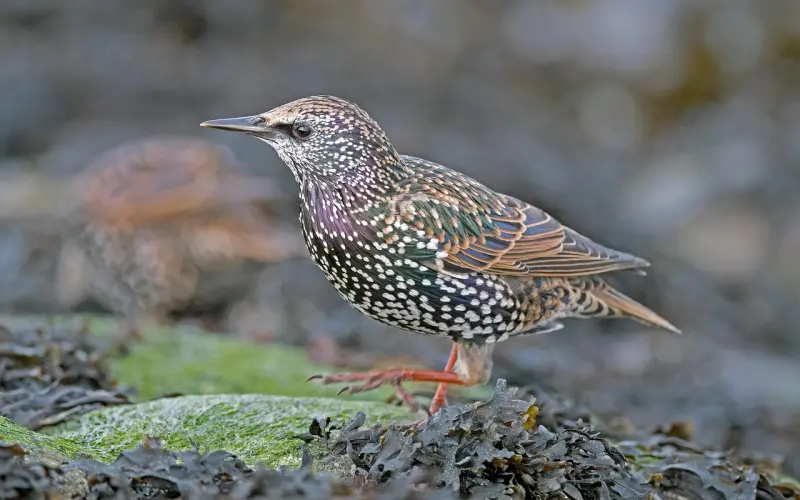 个性签名心情说说，适合每个人发朋友圈！