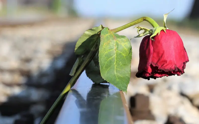 分手失恋后的男生个性签名