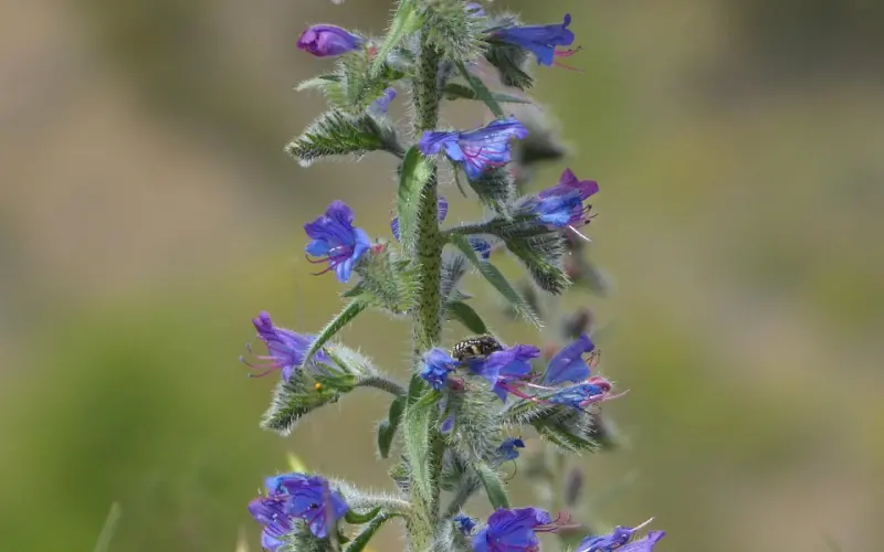 朋友圈走心的心情说说语句 最适合发朋友圈的说说心情短语